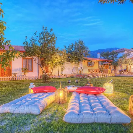 Ephesus Pensjonat Kirazli (Aegean)