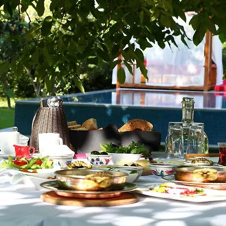 Ephesus Guest house Kirazli (Aegean)