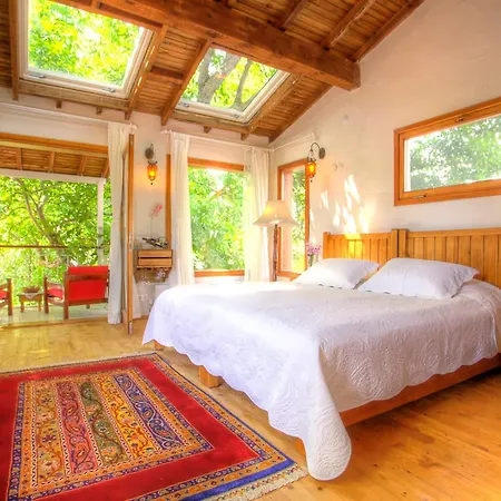 Ephesus Kirazli (Aegean)