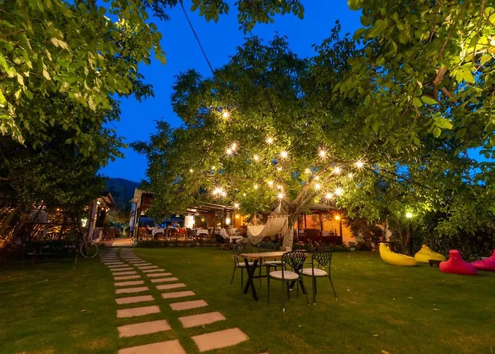 Pensjonat Ephesus Kirazli (Aegean)