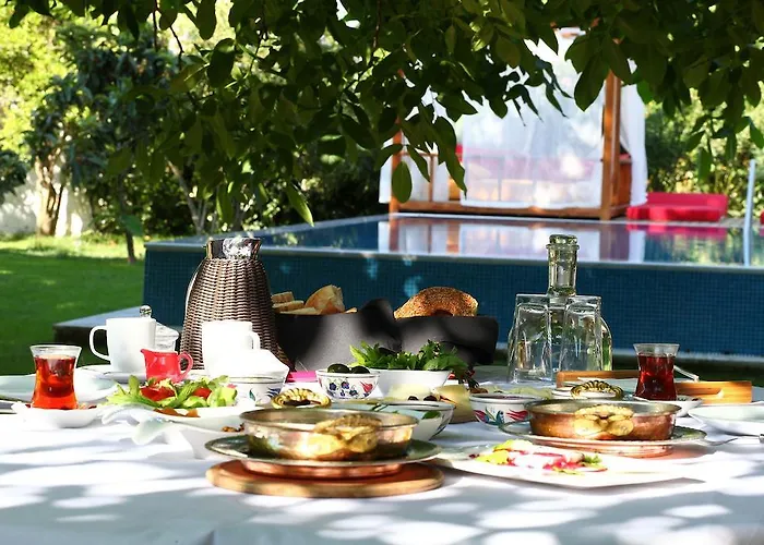 Ephesus Pensjonat Kirazli (Aegean)